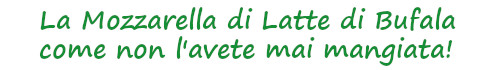 mozzarella di latte bufala caseificio cinque stelle